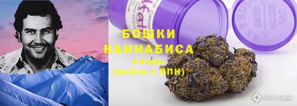 СК Коряжма