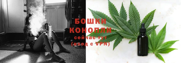 СК Коряжма