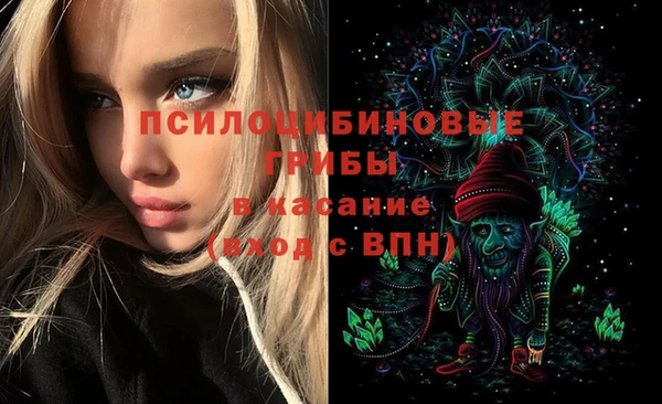 СК Коряжма