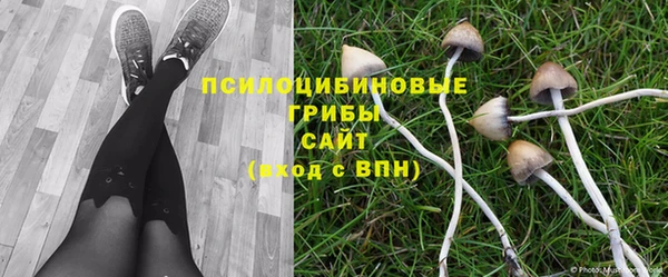 сатива Костерёво