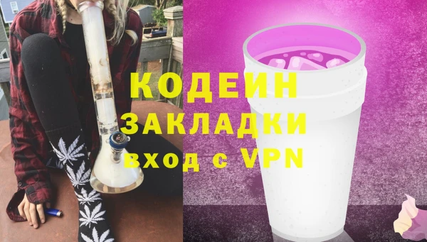 СК Коряжма