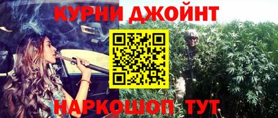 сатива Моздок