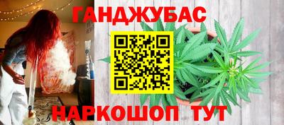 сатива Моздок