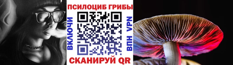 как найти закладки  Красноперекопск  мега ссылки  Псилоцибиновые грибы мухоморы 