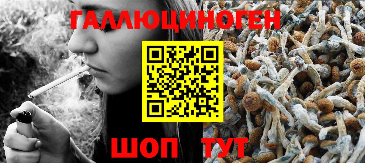 Псилоцибиновые грибы Красноперекопск