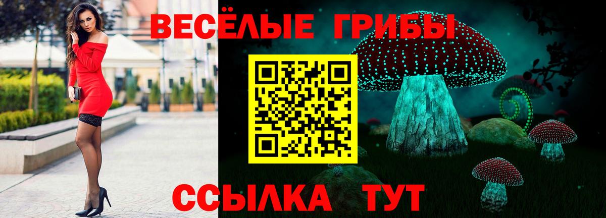 Галлюциногенные грибы GOLDEN TEACHER Красноперекопск