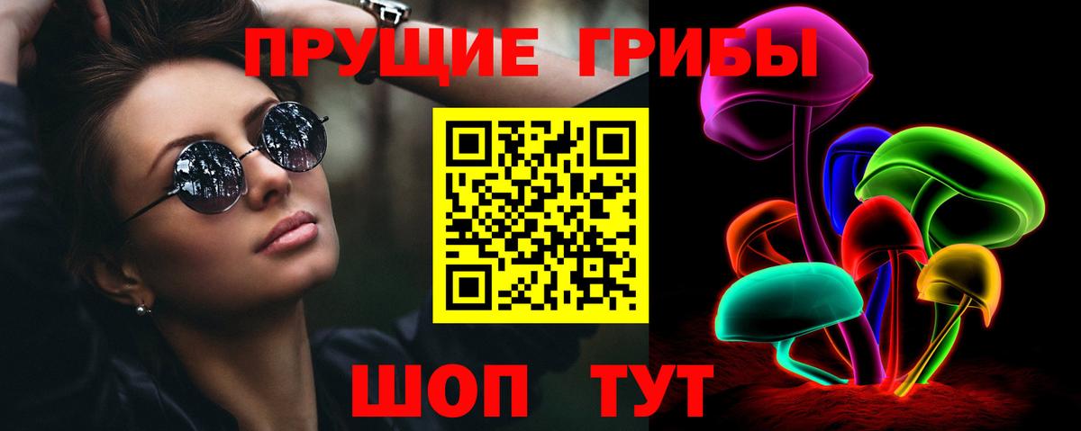 Красноперекопск  Псилоцибиновые грибы мицелий  Вход с VPN  Галлюциногенные грибы Psilocybe 
